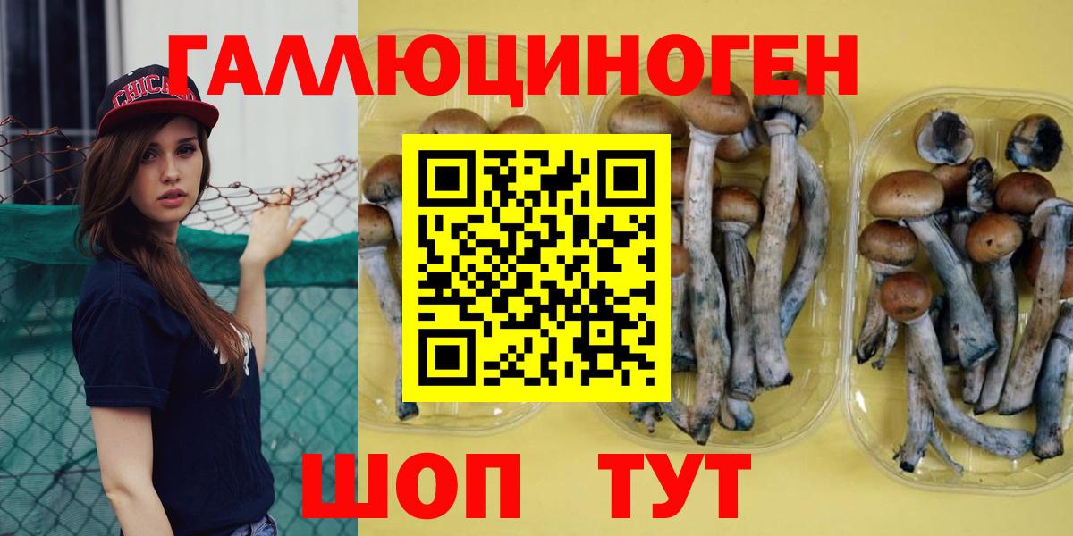Псилоцибиновые грибы Psilocybe  Псилоцибиновые грибы Psilocybine cubensis  Вход с VPN  Конаково 